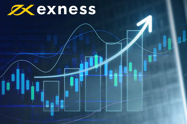 Exness Company A Comprehensive Review of Trading Solutions Exness Company A Comprehensive Review of Trading Solutions